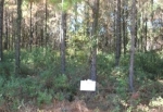 LOT 77 MIDDLETON PLANTATION Waverly, GA 31565 - Image 4978086