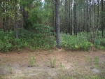 LOT 108 MIDDLETON PL Waverly, GA 31565 - Image 4978081