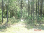 LOT 54 MIDDLETON PLA Waverly, GA 31565 - Image 4978082