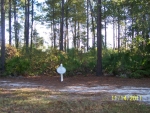 61  LONE PINE COURT LOT Waverly, GA 31565 - Image 4978106