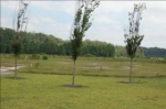 LOT 25 BRIDGE POINTE AT JEK Waverly, GA 31565 - Image 4978108