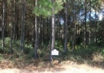 LOT 76 MIDDLETON PLANTATION Waverly, GA 31565 - Image 4978132