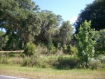 LOT 52 MIDDLETON PLANTATION Waverly, GA 31565 - Image 4978136