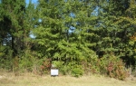 LOT 40 MIDDLETON PLANTATION Waverly, GA 31565 - Image 4978133