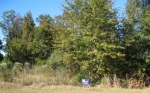 LOT 39 MIDDLETON PLANTATION Waverly, GA 31565 - Image 4978134