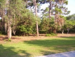 7701 STILL LAKES DR, LOT 31 Odessa, FL 33556 - Image 4978938