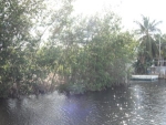 46 Blackwater Ln Key Largo, FL 33037 - Image 4993474