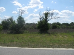 LOT 6 NIXON ST Maitland, FL 32751 - Image 5092135