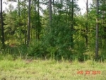 LOT 55 STILLWATER COVES Lincolnton, GA 30817 - Image 5099958