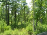 LOT 80  STILLWATER CO Lincolnton, GA 30817 - Image 5099959