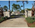 3501 PASO FINO DRIVE Lake Placid, FL 33852 - Image 5105186