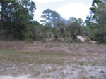 390 STARDUST AVE Lake Placid, FL 33852 - Image 5105190