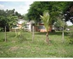 24750 SW 142 AV Homestead, FL 33032 - Image 5119053