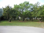 29282 SW 181 AV Homestead, FL 33030 - Image 5702052