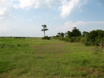 Lot 05-239 Venus, FL 33960 - Image 5782846