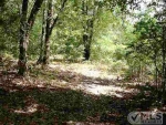 Vacant S CR 53 Lee, FL 32059 - Image 5785486