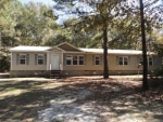 951 Little Buffalo Creek Rd Nahunta, GA 31553 - Image 5788813