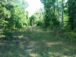 PT LOT 18A SANDY PT Knoxville, GA 31050 - Image 5790564