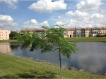 9861 SUNRISE LAKES BL # 105 Fort Lauderdale, FL 33322 - Image 5873171