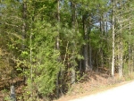 0 Old Hightower Trail Loganville, GA 30052 - Image 6183999