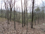 PHASE 7 LOT 5 Rising Fawn, GA 30738 - Image 6246614