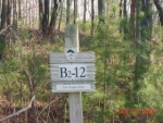 LOT 12 SECT B2 PH 1 CANY Rising Fawn, GA 30738 - Image 6246655