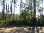 LOT 30 CAMDEN RESERV Woodbine, GA 31569 - Image 6259014