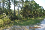 NYE GULF VIEW LN Cedar Key, FL 32625 - Image 6263714