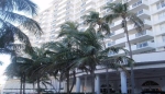 100 Lincoln Road Apt 1210 Miami Beach, FL 33139 - Image 6605907