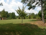 120 Old Trace Road Powder Springs, GA 30127 - Image 6706009