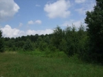 0 Midway Road Powder Springs, GA 30127 - Image 6707178