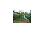 3530 MYSTIC POINTE DR # 1611 Miami, FL 33180 - Image 6724465