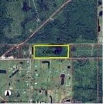 0 W State Rd 40 Pierson, FL 32180 - Image 6821168