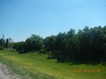 Lot 3 Ganey Ln Zolfo Springs, FL 33890 - Image 6861556